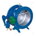 Title Disc Butterfly Type Check Valve